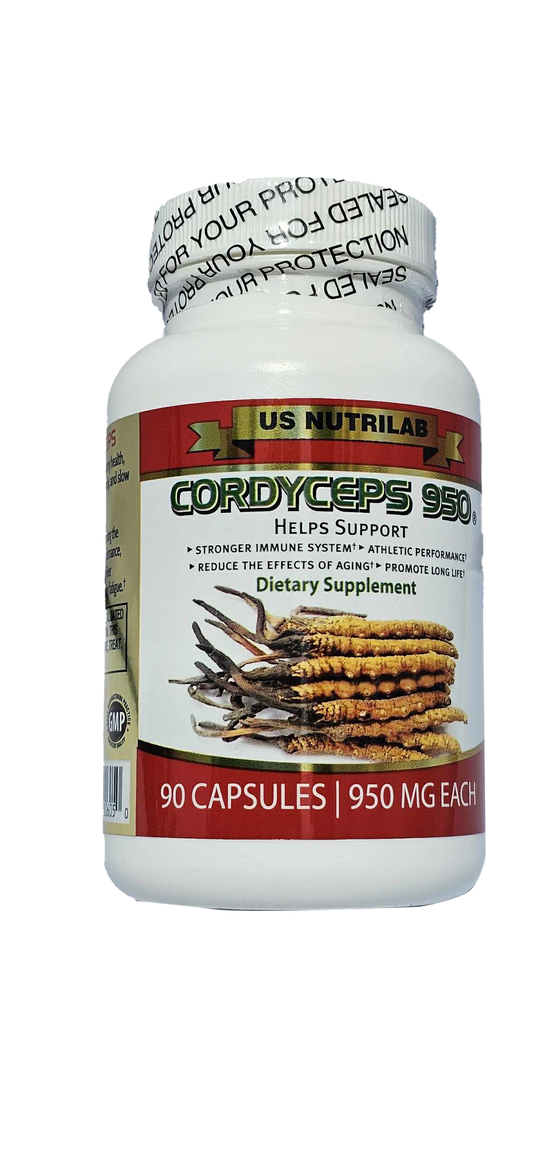 CORDYCEPS 950